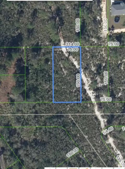 1396 Goldfinch St, Lake Placid, FL 33852