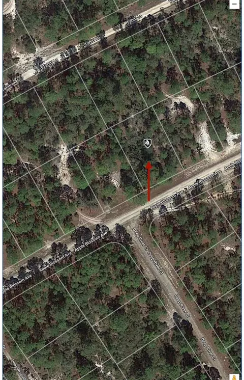 416 Apple Blossom Ave, Lake Placid, FL 33852