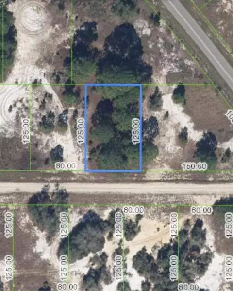 336 Sweetheart Ave, Lake Placid, FL 33852
