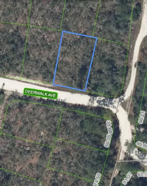 284 Deerwalk Ave, Lake Placid, FL 33852