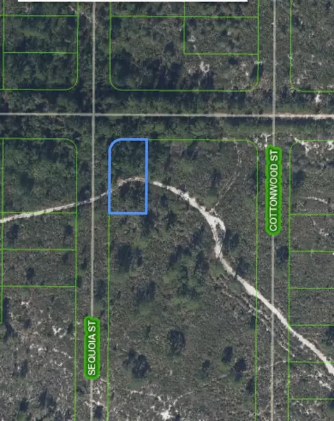 820 Washington Blvd, Lake Placid, FL 33852