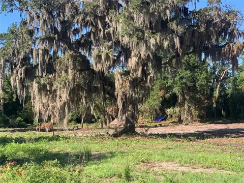 Tbd Jackson Court, Okahumpka, FL 34762