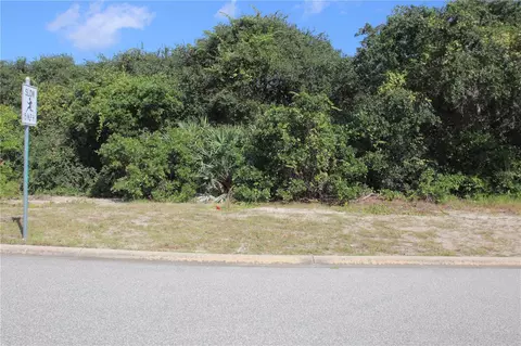 32 Mar Azul N, Ponce Inlet, FL 32127