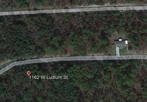 1162 W Ludlum St, Dunnellon, FL 34434
