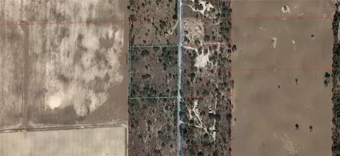 4350 NE 121st Ave, Williston, FL 32696 photo 1