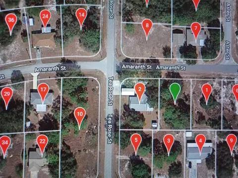 939 Amaranth St, Lake Placid, FL 33852