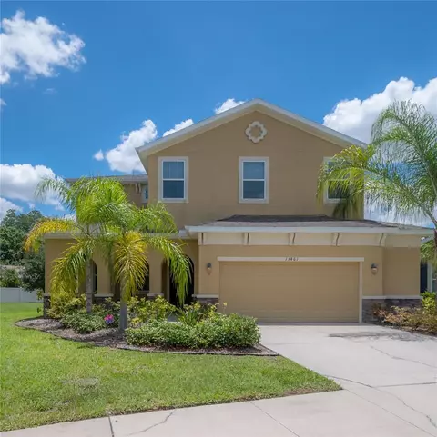 13461 Canopy Creek Dr, Tampa, FL 33625