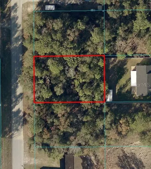 Pine Run, Ocala, FL 34472