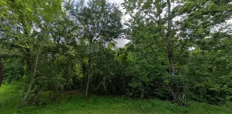 7611 Amherst St, Tampa, FL 33625