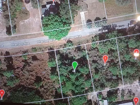 233 Phantasy Ave, Lake Placid, FL 33852