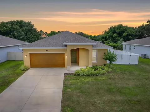13405 Lake Yale View Loop, Grand Island, FL 32735