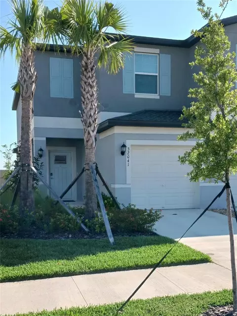 32041 Powderpuff Mimosa Dr, San Antonio, FL 33576
