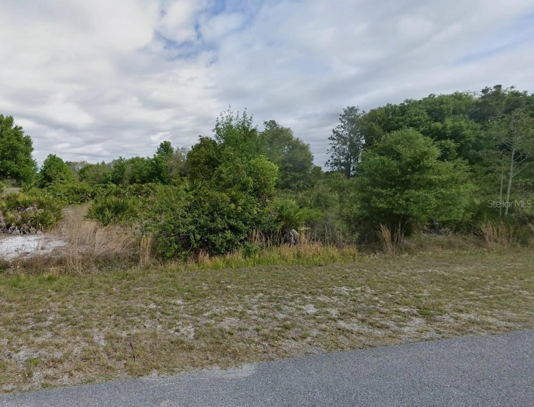 10910 Dixon, Riverview, FL 33579 photo 1