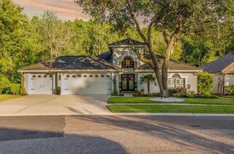 5502 Avenue Du Soleil, Lutz, FL 33558