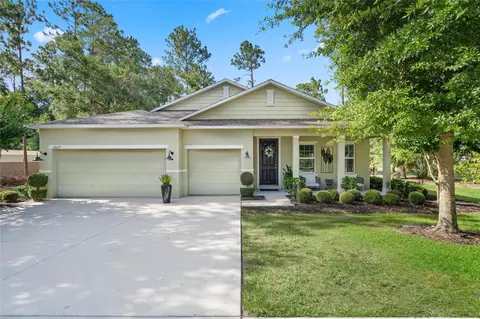 23622 Stream Ave, Sorrento, FL 32776