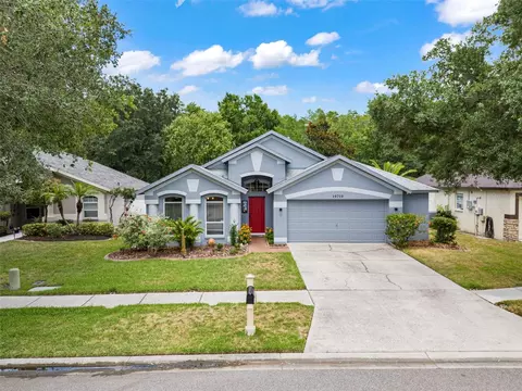 19719 Ellendale Dr, Land O Lakes, FL 34638
