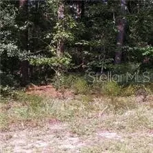 SE 128th Street, Belleview, FL 34420
