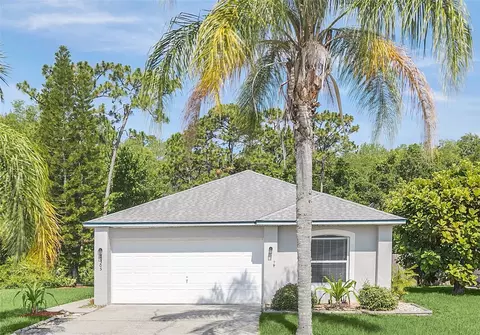 10305 Rocking A Run, Orlando, FL 32825