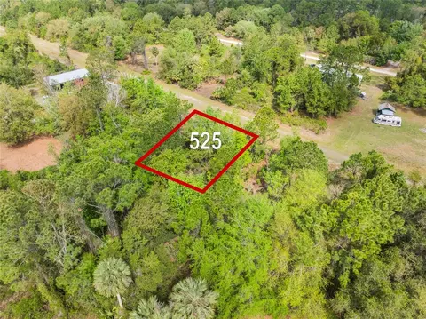 525 Gardenia Ave, Georgetown, FL 32139