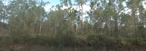 126 NW 4th Ave, Palatka, FL 32177