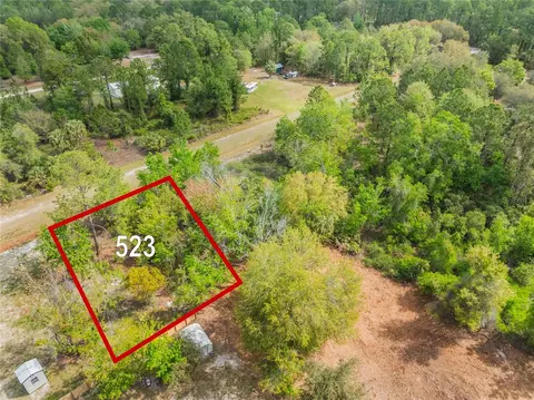 523 Gardenia Ave, Georgetown, FL 32139