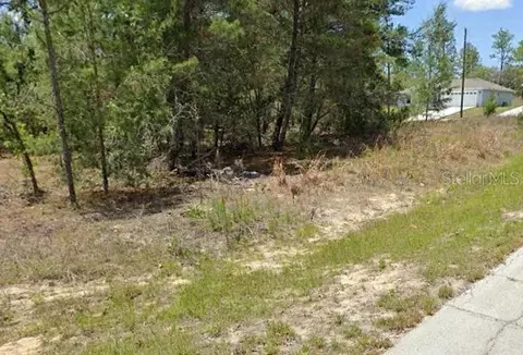 3002 W Liza Pl, Citrus Springs, FL 34433