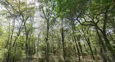 37551 Ingham Rd, Hilliard, FL 32046