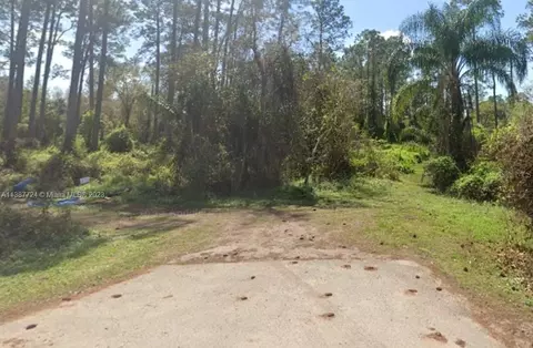 Hibiscus Avenue, Paisley, FL 32767