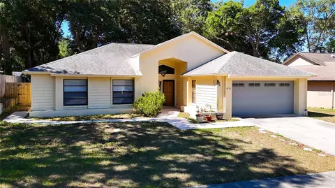 4133 Yellowwood Dr, Valrico, FL 33594