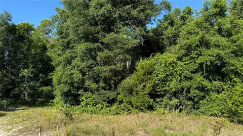 8045 NE 307th Ave, Fort Mc Coy, FL 32134