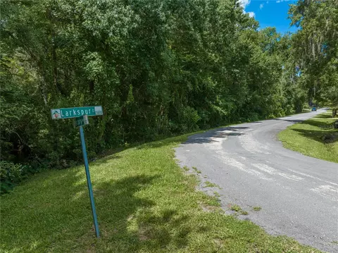 15753 Larkspur St, Orlando, FL 32828
