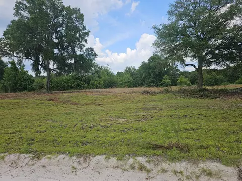 1381 SW Faulkner Dr, Fort White, FL 32038