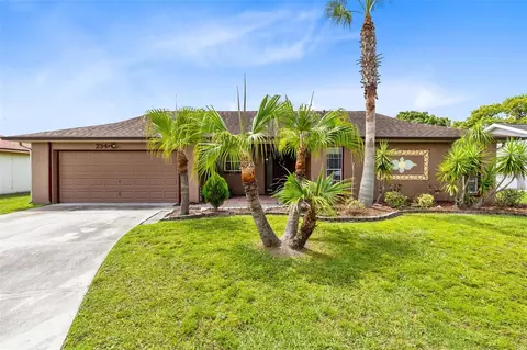 234 Minnesota Woods Ln, Orlando, FL 32824