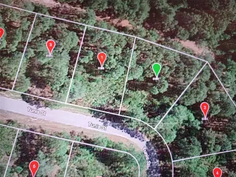 8500 Tunis St, Sebring, FL 33872