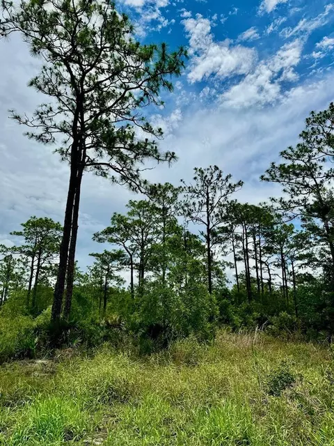 Topeka Avenue, Saint Cloud, FL 34773