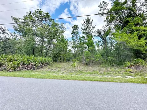 11241 Pheasant Ave, Weeki Wachee, FL 34614