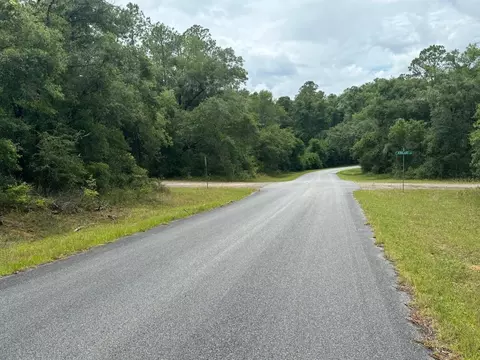 308 E Bimini Dr, Dunnellon, FL 34434