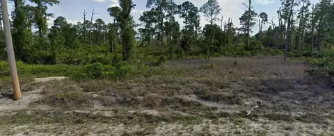 1044 Manning St E, Lehigh Acres, FL 33974