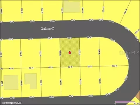 412 Mulberry Ct, Kissimmee, FL 34759