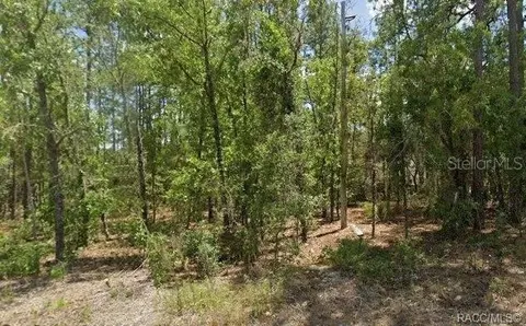3644 W Galleon St, Citrus Springs, FL 34433