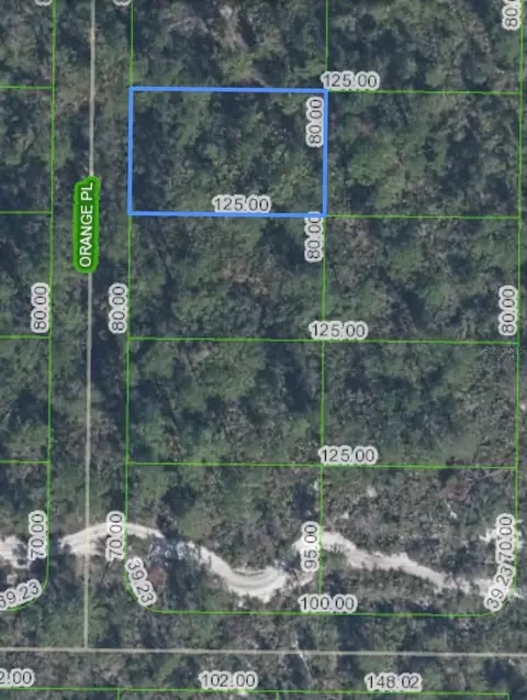 5518 Orange Pl, Sebring, FL 33875