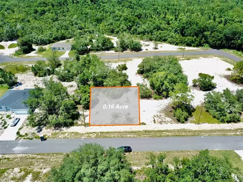 313 Amberjack Ct, Kissimmee, FL 34759