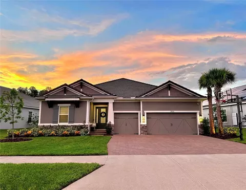12635 Wetmore Ct, Odessa, FL 33556