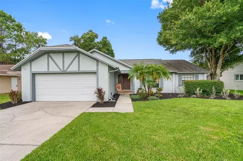 14908 Coldwater Ln, Tampa, FL 33624