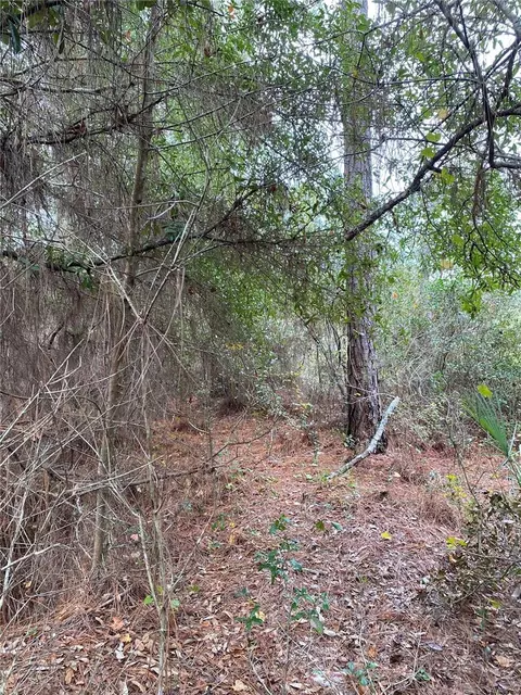 Lakeside Drive, Deland, FL 32720