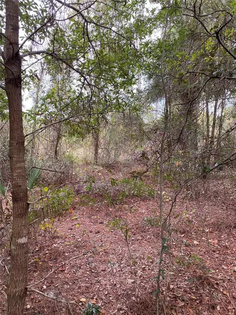 Lakeside Drive, Deland, FL 32720