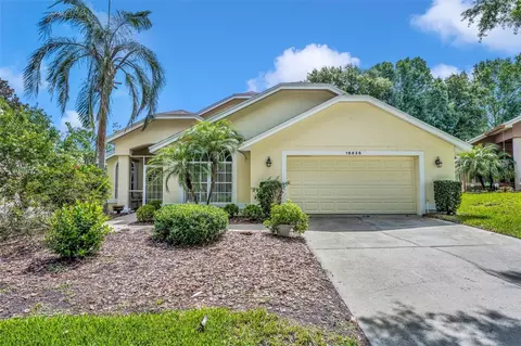 16626 Crystal Cv, Clermont, FL 34711