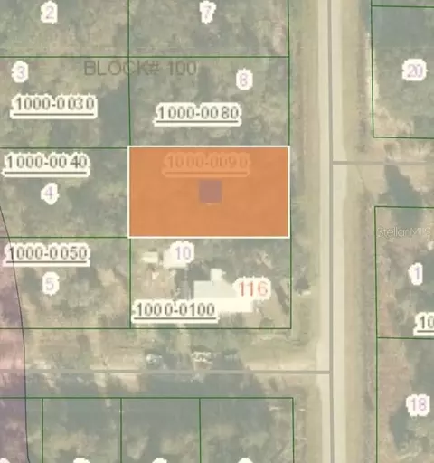 807 Paradise Lakes Ave, Georgetown, FL 32139