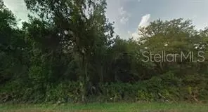 NE 48th Avenue, Citra, FL 32113