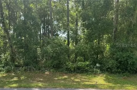 E Holly Street, Howey In The Hills, FL 34737